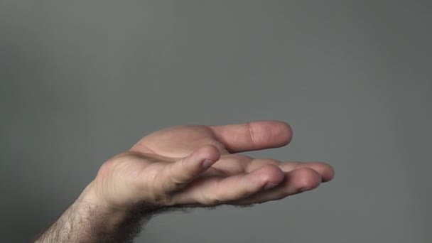 Man hand begging on a grey background. — Stock Video