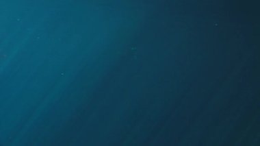 Sualtı ışık ışınları