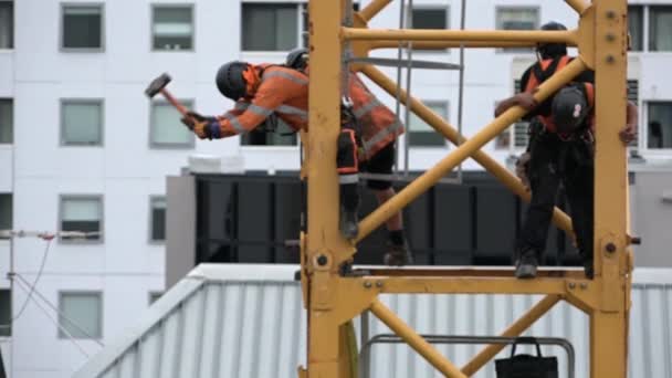 Auckland Apr 2016 Builders Assemble Construction Tower Crane Sixty Percent — Stock Video