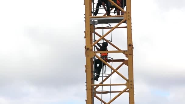 Auckland Abr 2016 Los Constructores Montan Una Grúa Torre Construcción — Vídeo de stock