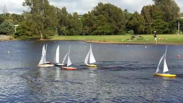 Externe gecontroleerde zeiljachten race in een vijver — Stockvideo