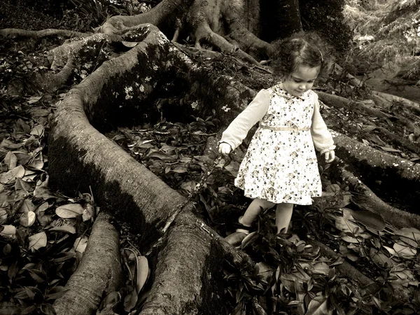Little girl walks under a giant old tree — Stock Photo, Image