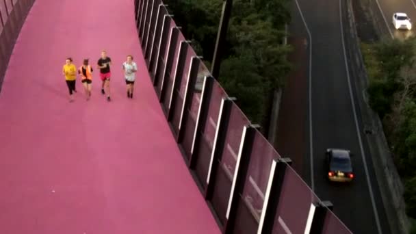 Bright pink cycleway at dusk in Auckland New Zealand — Stock Video