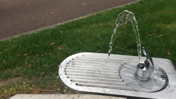 Flujo de agua de la fuente potable — Vídeo de stock