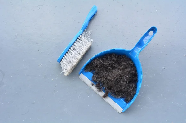 Brush broom with dustpan cleaning human hair — Stock Photo, Image