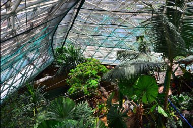 Cairns Zoom & Wildlife Dome Queensland Avustralya'da