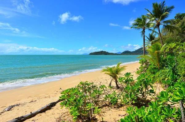 Krajina Clifton Beach nedaleko Cairns Queensland Austrálie — Stock fotografie