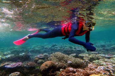 Woman snorkeling dive