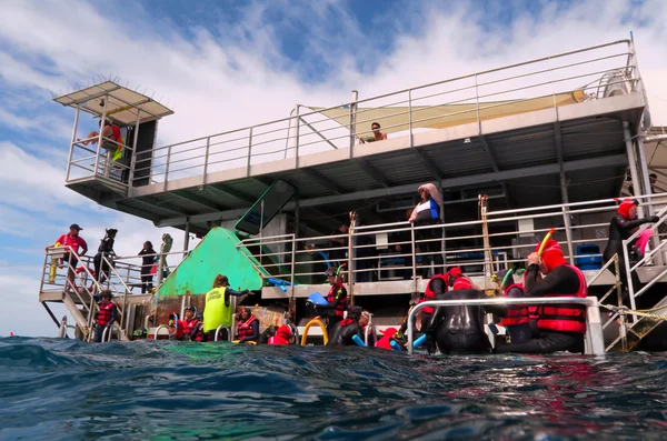 Mensen bereiden zich voor op snorkelen en duiken vanaf een platform in de GR — Stockfoto