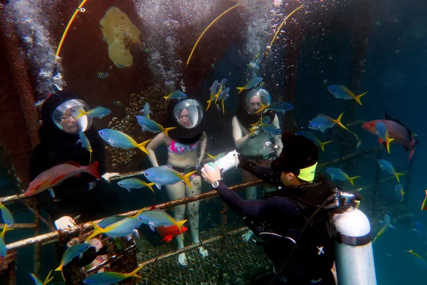 Helm duiken in het Great Barrier Reef Queensland Australië — Stockfoto