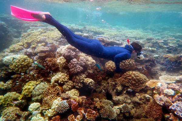 Woman snorkeling dive — Stockfoto