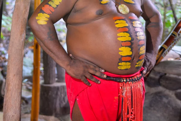 Detalhes do homem australiano nativo com pintura corporal — Fotografia de Stock