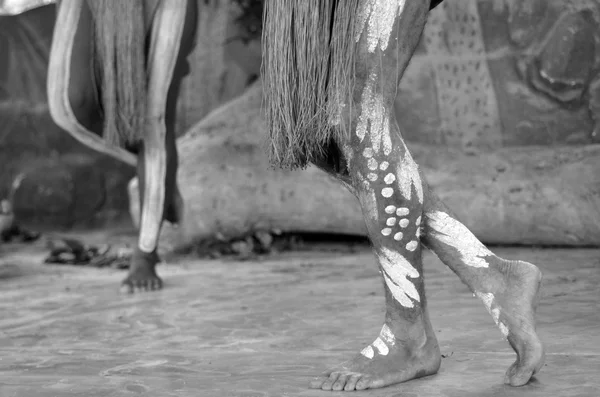 Yirrganydji Los hombres aborígenes bailan durante el espectáculo cultural aborigen — Foto de Stock