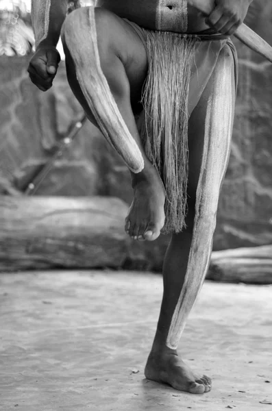 Yirrganydji Aboriginal man dance during Aboriginal culture show — Stock Photo, Image