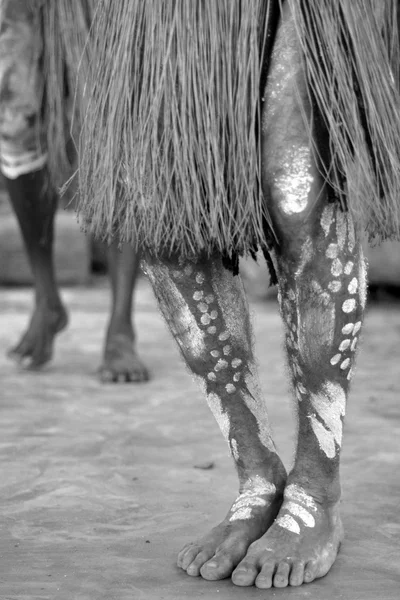 Yirrganydji Los hombres aborígenes bailan durante el espectáculo cultural aborigen —  Fotos de Stock