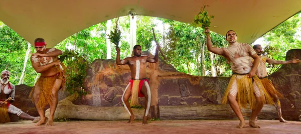 Yirrganydji Los hombres aborígenes bailan durante el espectáculo cultural aborigen —  Fotos de Stock