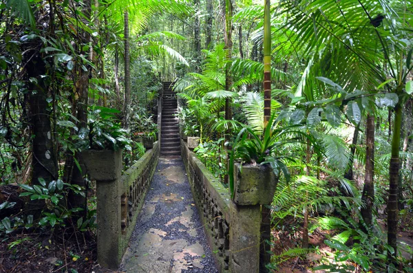 Paronella Park em Queenland Austrália — Fotografia de Stock