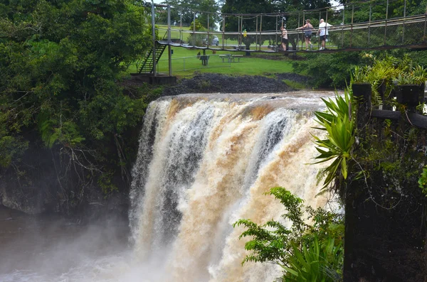 Mena Creek Falls di Paronella Park di Queenland Australia — Stok Foto