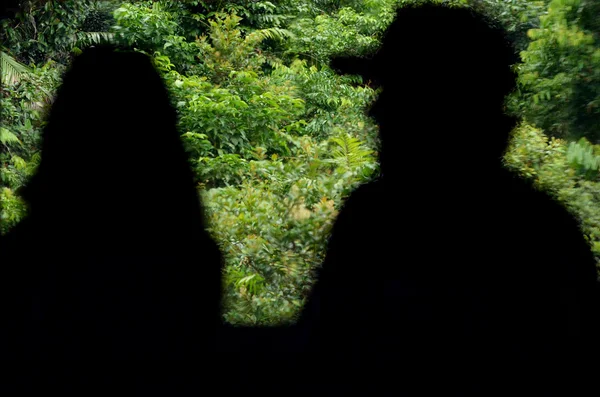 Skyrail Rainforest Cableway acima Barron Gorge National Park Que — Fotografia de Stock