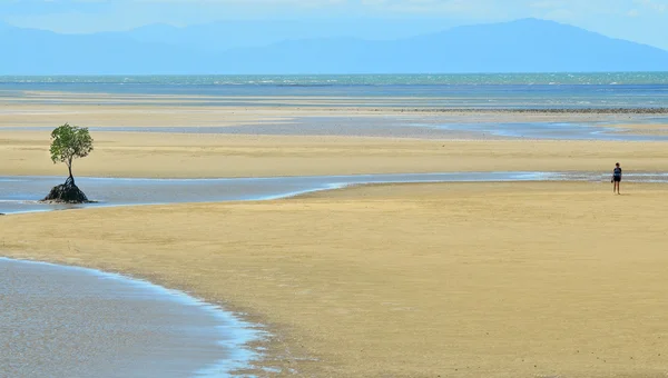 A person walks on a a wild beach in Queensland  Australia — Stok fotoğraf