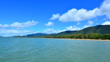Palm Cove Queensland Avustralya