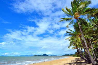 Palm Cove Queensland Avustralya