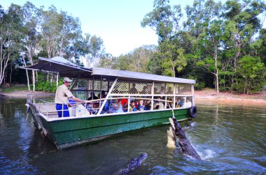 People watch a Crocodile trainer feeds a Saltwater Crocodiles