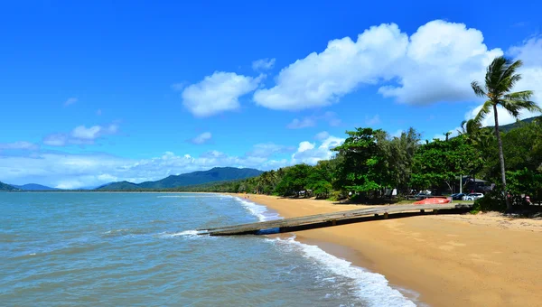 Palm Cove Queensland Avustralya — Stok fotoğraf