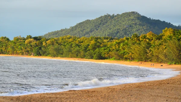 Paisagem de Palm Cove Queensland Austrália — Fotografia de Stock