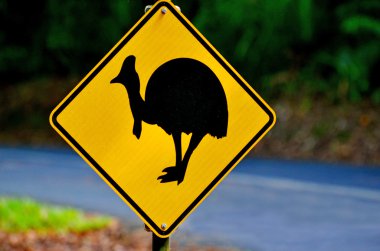 Cassowary warning sign in Queensland Australia clipart