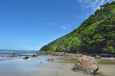 Landscape of Cape Tribulation in Daintree National Park in the far tropical north of  Queensland, Australia clipart