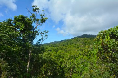 Daintree Milli Parkı Queensland Austr hava manzara görünümü