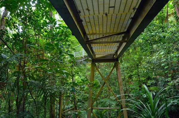 Cesta most v Daintree národní Park Queensland, Austrálie — Stock fotografie