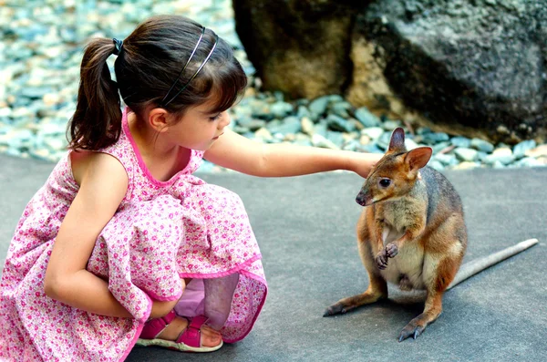 Маленький ребенок ласкает валлаби в Квинсленде, Австралия — стоковое фото