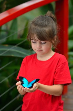 Little girl holds a Ulysses Swallowtail  clipart