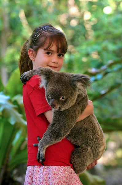 Gadis kecil memegang Koala — Stok Foto