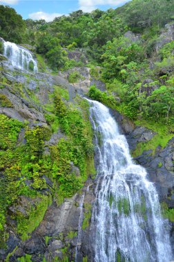 Stoney Creek Falls Queensland Avustralya