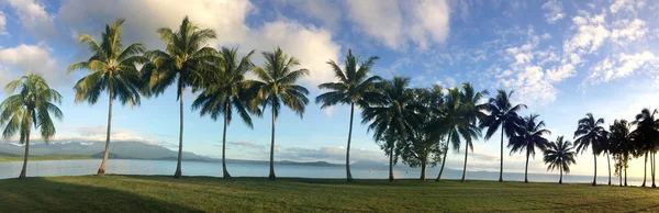 Panoramik manzaralı bir satır ve palmiye ağaçlarının Port Douglas — Stok fotoğraf