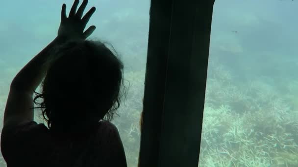 Çocuk seyahat Mercan Denizi büyük Set Resifi yarı denizaltı içinde — Stok video