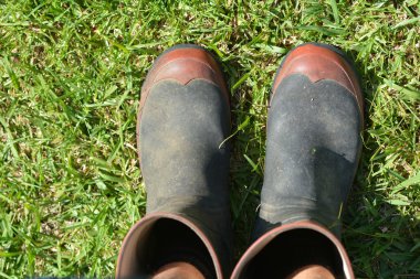 Bahçe gumboots yeşil çimenlerin üzerinde mans