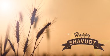 Happy Shavuot Card clipart