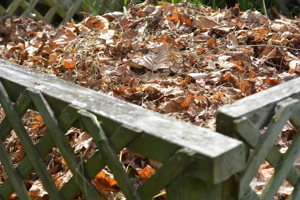 Torra löv i en trädgård kompost — Stockfoto