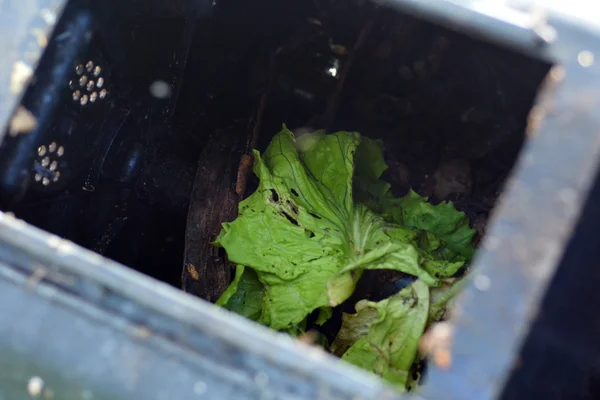 Thuis compost met restjes van voedsel — Stockfoto