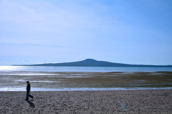 Persona camina contra la isla de Rangitoto —  Fotos de Stock