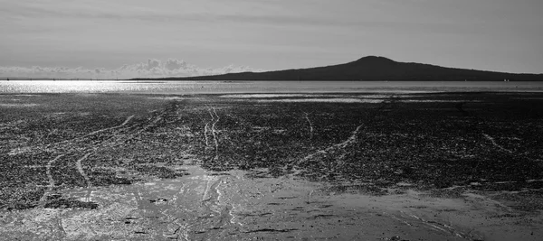 Dramatic Landscape view of Rangitoto Island — Stock Photo, Image