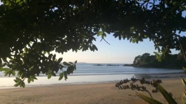Coopers Beach Yeni Zelanda manzara