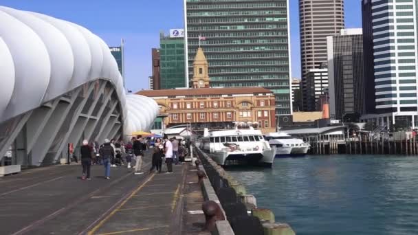 Terminal de balsas auckland — Vídeo de Stock