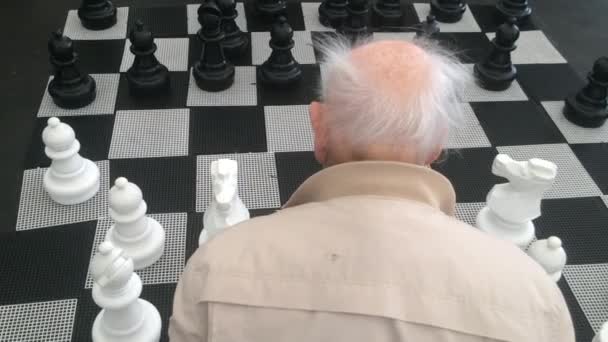 Alter Mann spielt Schach — Stockvideo