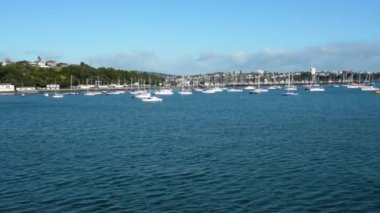 Auckland şehir manzarası