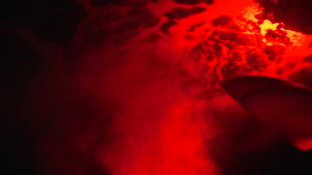 红色的水中的鲨鱼 — 图库视频影像